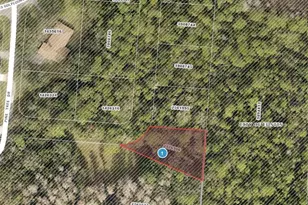 Pine Tree Dr, Eustis, FL 32726 - Photo 1