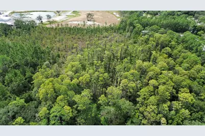 Pine Tree Drive, Eustis, FL 32726 - Photo 4