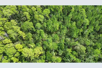 Pine Tree Drive, Eustis, FL 32726 - Photo 8