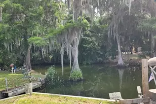 4 Palm Pl, Tavares, FL 32778 - Photo 22