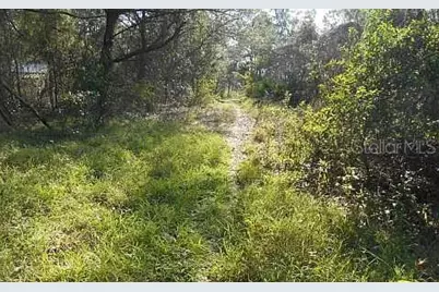 674 Nemo Drive, Sebring, FL 33870 - Photo 4