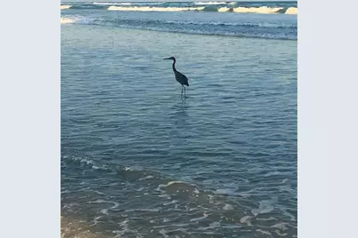 4453 S Atlantic Avenue #208, Ponce Inlet, FL 32127 - Photo 8