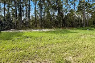 13198 SW 65th Cir, Ocala, FL 34473 - Photo 30