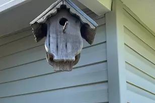 14025 Royal Fern Way, Astatula, FL 34705 - Photo 30