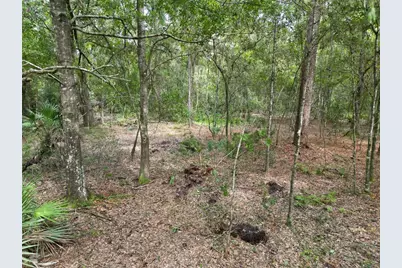 2039 N 6th St, Orlando, FL 32820 - Photo 6