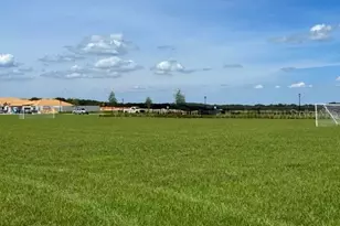 1880 Ross Hammock Ave, Groveland, FL 34736 - Photo 4