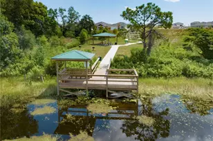 1880 Ross Hammock Ave, Groveland, FL 34736 - Photo 24