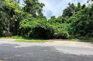 379 N Pine Hills Rd, Orlando, FL 32811 - Photo 1