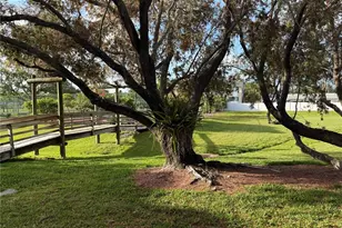 625 Duchess Blvd, Dunedin, FL 34698 - Photo 36