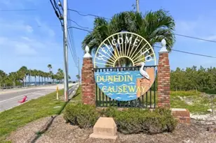 625 Duchess Blvd, Dunedin, FL 34698 - Photo 52