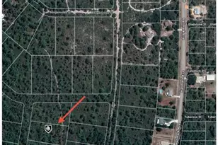 745 Marlin St, Lake Placid, FL 33852 - Photo 8