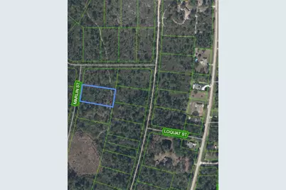 745 Marlin Street, Lake Placid, FL 33852 - Photo 6