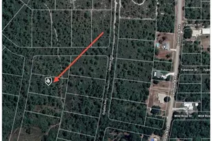 745 Marlin St, Lake Placid, FL 33852 - Photo 1