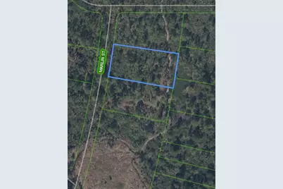 745 Marlin Street, Lake Placid, FL 33852 - Photo 1