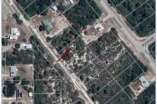 419 Durham Ave, Lake Placid, FL 33852 - Photo 4