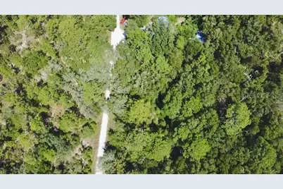 0 NE 138th Terrace, Williston, FL 32696 - Photo 4