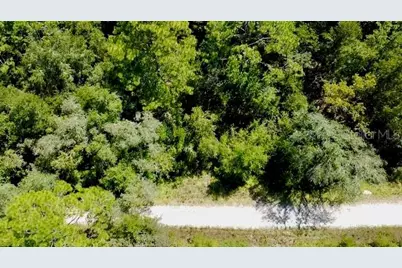 0 NE 138th Terrace, Williston, FL 32696 - Photo 2