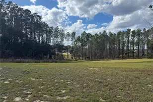 14520 Lost Lake Rd, Clermont, FL 34711 - Photo 12