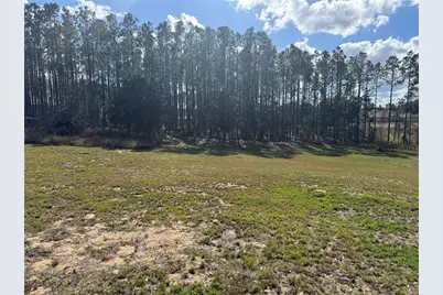 14520 Lost Lake Road, Clermont, FL 34711 - Photo 42