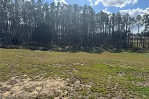 14520 Lost Lake Rd, Clermont, FL 34711 - Photo 42