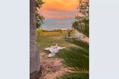 14520 Lost Lake Road, Clermont, FL 34711 - Photo 46