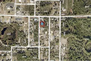 33702 Verda Ave, Leesburg, FL 34788 - Photo 8