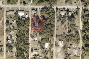 33702 Verda Ave, Leesburg, FL 34788 - Photo 4