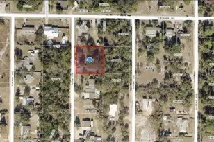 33702 Verda Ave, Leesburg, FL 34788 - Photo 6