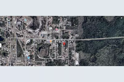 33702 Verda Avenue, Leesburg, FL 34788 - Photo 6