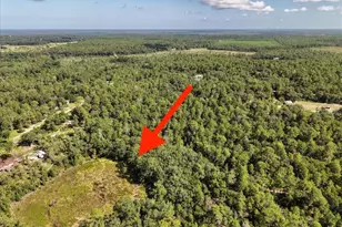 229 Arkansas St, Satsuma, FL 32189 - Photo 1