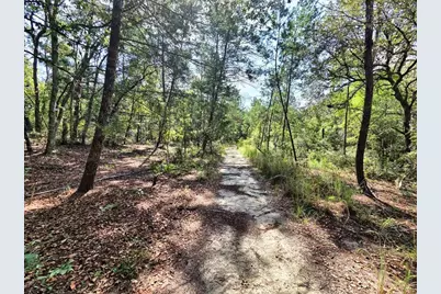 229 Arkansas Street, Satsuma, FL 32189 - Photo 2