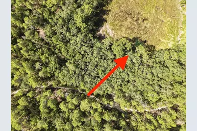 229 Arkansas Street, Satsuma, FL 32189 - Photo 12