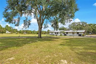 32708 Gere Ln, Sorrento, FL 32776 - Photo 8