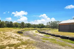 32708 Gere Ln, Sorrento, FL 32776 - Photo 64