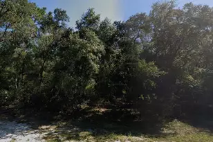 Marion Ave, Interlachen, FL 32148 - Photo 1