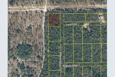 101 & 103 Longhorn Lane, Florahome, FL 32140 - Photo 4