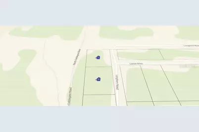 101 & 103 Longhorn Lane, Florahome, FL 32140 - Photo 2