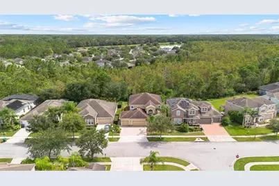 17320 Cypress Preserve Parkway, Orlando, FL 32820 - Photo 8