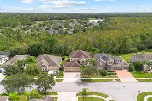 17320 Cypress Preserve Pkwy, Orlando, FL 32820 - Photo 8