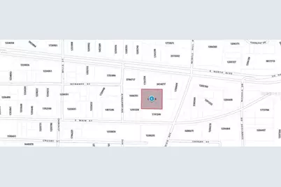 1216 E Main Street, Leesburg, FL 34748 - Photo 2