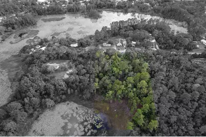 31615 Pinecrest Road, Eustis, FL 32736 - Photo 6