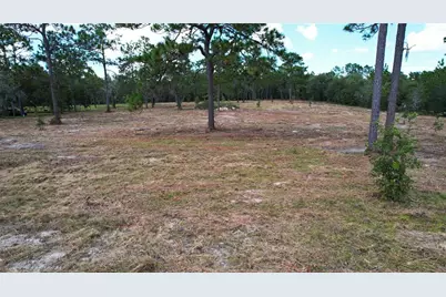 53rd Lane, Morriston, FL 32668 - Photo 4