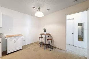 10265 Gandy Blvd N, Saint Petersburg, FL 33702 - Photo 18