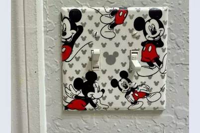 2595 Maneshaw Lane, Kissimmee, FL 34747 - Photo 40