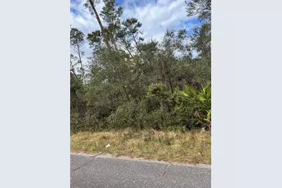 Fishermans Road, Paisley, FL 32767 - Photo 2