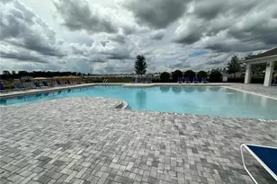 3941 Cuyahoga Vly Ct, Apopka, FL 32712 - Photo 46