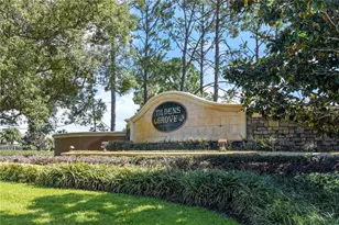 13420 Bonica Way, Windermere, FL 34786 - Photo 60