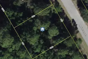 1548 Mediterranean Dr, Kissimmee, FL 34759 - Photo 1