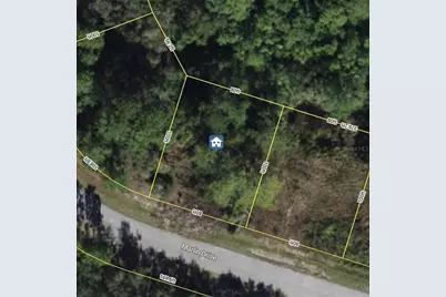 1566 Marlin Drive, Kissimmee, FL 34759 - Photo 1