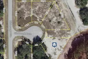 604 Hillsborough Pl, Kissimmee, FL 34759 - Photo 1